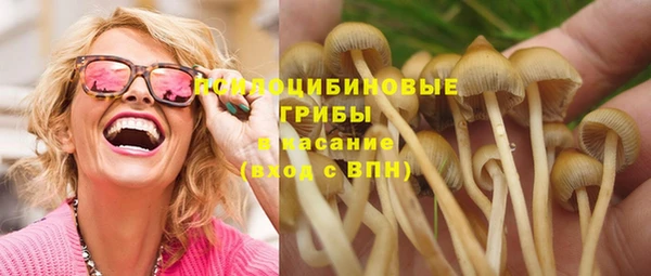 spice Лиски