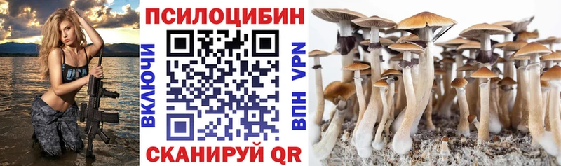 Галлюциногенные грибы мицелий  где продают наркотики  Шимановск 
